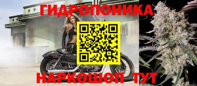 ГАЛЛЮЦИНОГЕННЫЕ ГРИБЫ Бузулук