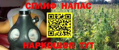 jwh Будённовск