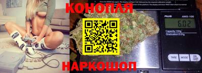 jwh Будённовск