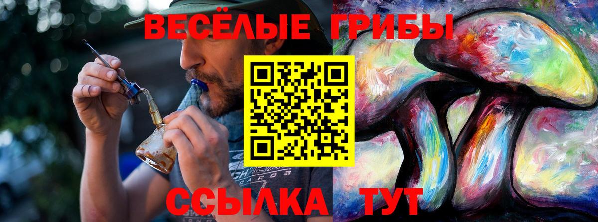 Галлюциногенные грибы GOLDEN TEACHER  Вход с VPN  Галлюциногенные грибы Magic Shrooms  где купить наркоту  Чита 