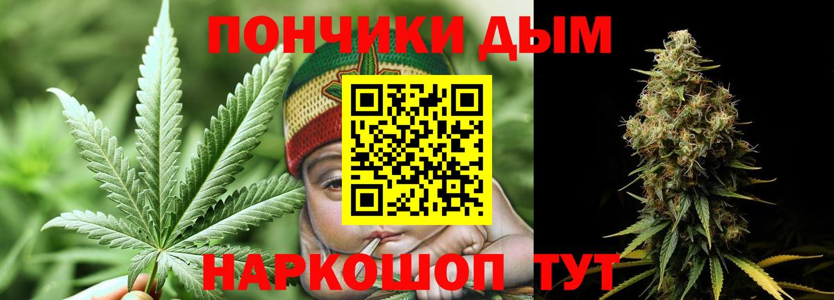 Бошки Шишки Ganja Чита